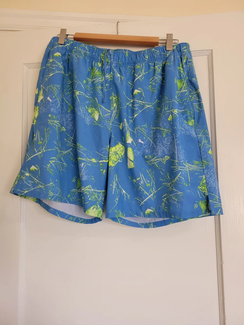 The North face Wander Blue Green Mens Shorts Size Large